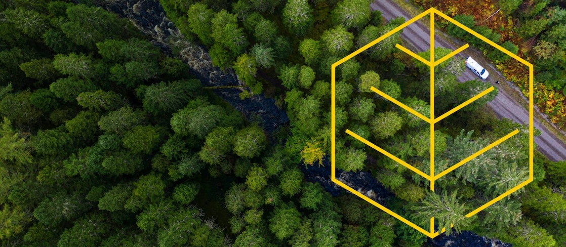 Fotografie aeriană a unui râu și unui camion alb pe o șosea într-o pădure de pini, cu o schiță a desenului Respectul pentru natură